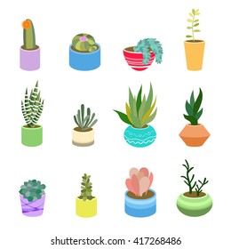 Succulents and cactus in pots of different colors. Cute flat cartoon elements for home design. Vector illustration set of hand drawn. Isolated on white background 