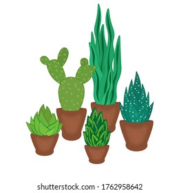 succulents and cactus in pots hand drawn vector