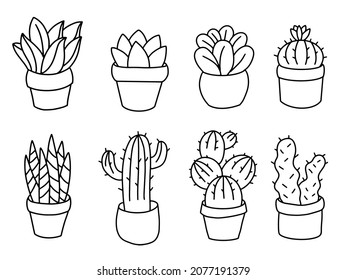 succulents cactus in pots set outline illustration