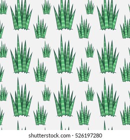 Succulents. Cactus seamless pattern