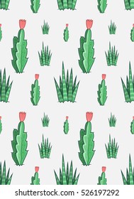 Succulents. Cactus seamless pattern with gray background. Vector colorful illustration