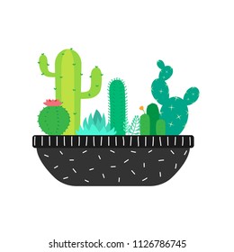 Succulents and cactuses in a big pot. Vector illustration.