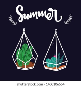 succulents, cactuses and other plants growing in florariums 