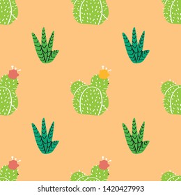 succulents, cactuses and other plants growing in florariums 