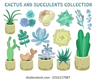 Succulents and cactuses set. Cute and decorative house plants in flower pots. Exotic or tropical flower for interior decoration. Flat vector illustration