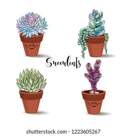 Succulents in clay pots. Set. Graphics with watercolor. Vector.