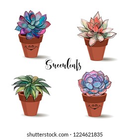 Succulents in clay pots. Set. Graphics with watercolor. Vector