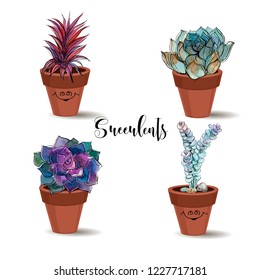 Succulents in clay pots. Set. Graphics with watercolor. Vector