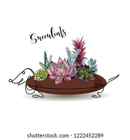 Succulents. Composition of flowers in a flower pot in the form of a dog Dachshund. Graphics. Watercolor. Vector.