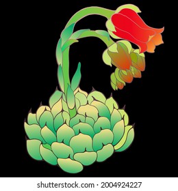 Succulents - decorative composition. Echeveria. Watercolor. Graphics. Wallpaper. Use printed materials, signs, posters, postcards, packaging.