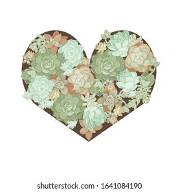 succulents of different types in the shape of a heart on a white background, vector illustration