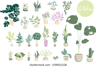 Succulents in DIY concrete pots in scandinavian style. Home decoration.Vector illustration. Garden botanical floral, hand draw illustration big set