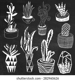 Succulents in DIY concrete pots in scandinavian style. Home decoration.Vector illustration