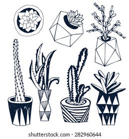 Succulents in DIY concrete pots in scandinavian style. Home decoration.Vector illustration