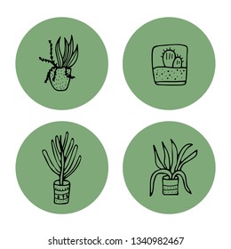 Succulents in doodle style. Set of house plants. Poster, banner, greeting card, print isolated elements with round badges. Vector  illustration.