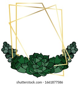 Suculentos, exóticos, de diseño. Enfoque correcto