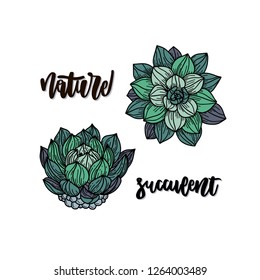 Succulents. Flat hand drawn vector card with handwritten lettering  - succulent, nature. Sketch plant. Isolated cartoon illustration.