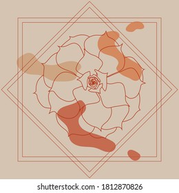 Succulents flower. Vector illustration in autumn colors. Flower abstract.
