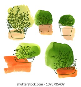 Succulents. Flowers in pots drawn by a line on the background of watercolor color stains. Gardening at home and office. Live plants in flowerpots.