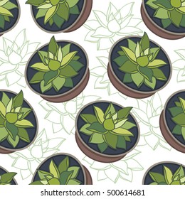 Succulents flowers seamless pattern. Green colorful succulent Echeveria. Vintage wallpaper succulents on white background. Echeveria agavoides