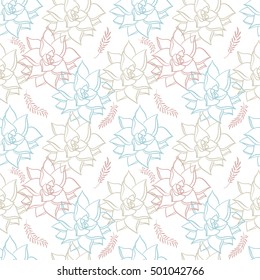 Succulents flowers seamless pattern on white background. Floral texture in vector