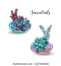 Succulents in glass aquariums. Colored sand. Flower decorative compositions. Graphics. Watercolor Vector