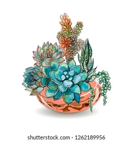 Succulents in glass aquariums. Colored sand. Flower decorative compositions. Graphics. Watercolor. Vector.