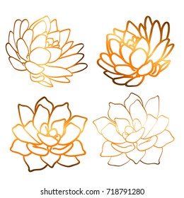 Succulents. Golden gradient. Contour Vector.