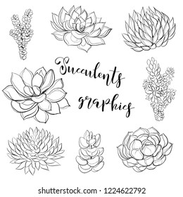 Succulents. Graphics. Coloring. Vector illustration