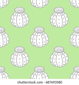 Succulents in gray outline and white plane on pastel green background. Hand drawn style. Seamless pattern vector illustration.