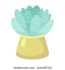 Succulents. Green cactus in flower pot cartoon illustration. Desert plants or home plants on shelves isolated on white