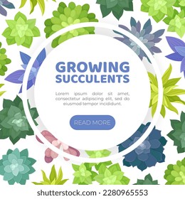 Succulents Growing Banner Design with Desert Plants with Fleshy Leaves Vector Template