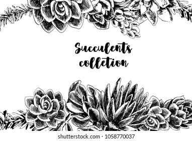 Succulents hand - drawn collection ink and pen. A set of succulents and cacti on a white background. For weddings, invitations, cards, fabric and many other