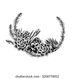 Succulents hand - drawn collection ink and pen. A set of succulents and cacti on a white background. For weddings, invitations, cards, fabric and many other