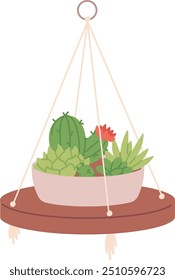 Succulents hanging on wooden shelf. Cactus pot color icon isolated on white background