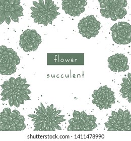 Succulents isolated set. Spring or summer decoration floral bohemian design. Vector illustration. Perfect for invitation, wedding or greeting cards.