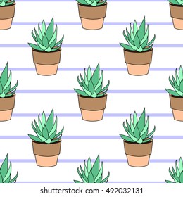 Succulents on striped background. Seamless pattern