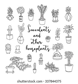 Succulents and other houseplants. Doodle set. Isolated