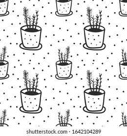 Succulents. Plant's line drawn on a white background. Home plant in a pot. Vector pattern succulents.