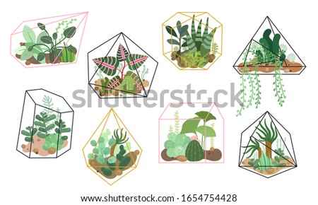 Similar – Image, Stock Photo cactus plants in greenhouse interior