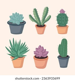 Succulents in a pot on a beige background
