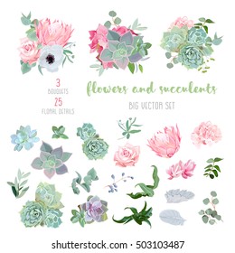 Succulents, protea, rose, anemone, echeveria, hydrangea, decorative plants big vector collection. All elements are isolated and editable.