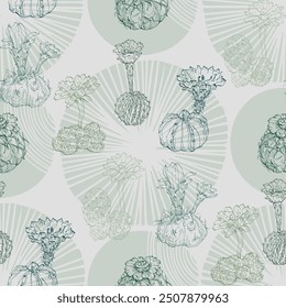 Succulents Seamless pattern with abstract tropical flowers, leaves and shapes. Summer jungle florals design. Great for fabric, textile, wrapping paper, wallpaper. Vector texture