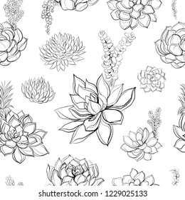 Succulents. Seamless pattern. Graphics. Coloring. Vector illustration.