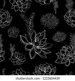 Succulents. Seamless pattern on black background. Vector.