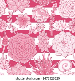 Succulents seamless pattern. Succulent ornament. Natural composition. Colored succulents and cactus floral print. Hand drawn art work.