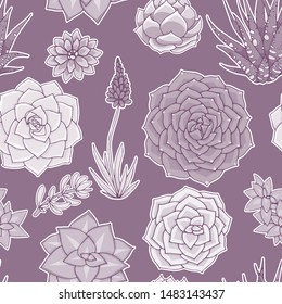 Succulents seamless pattern. Succulent ornament. Natural composition. Colored succulents and cactus floral print. Hand drawn art work.
