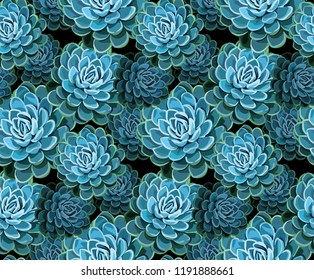 Succulents seamless pattern. Succulent vector background. Colored succulents and cactus floral print. Hand drawn art work.