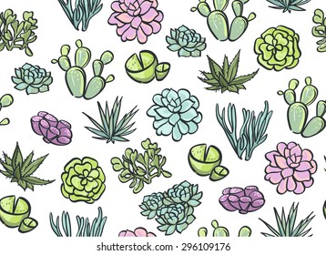 succulents seamless pattern. Vector illustration.