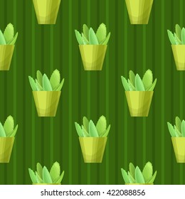 Succulents seamless pattern. Vector illustration with succulents, green wave, light green background